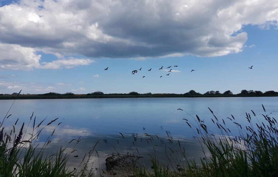 slapton ley nature reserve