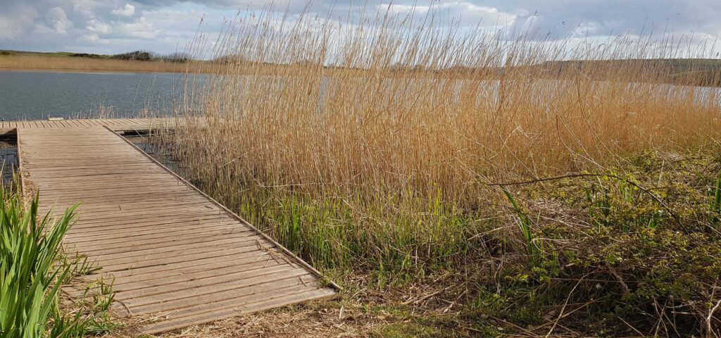 slapton ley